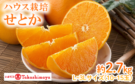 【2月上旬から発送】 せとか ハウス JAえひめ中央 約2.7kg　3L～Lサイズ 10から15玉 （ セトカ みかん 蜜柑 柑橘 高級 果物 甘い フルーツ 松山市 愛媛県 ） 【IYT0451】