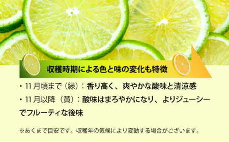 【2024年発送】まろやか多汁マイヤーレモン （島レモン）約2kg