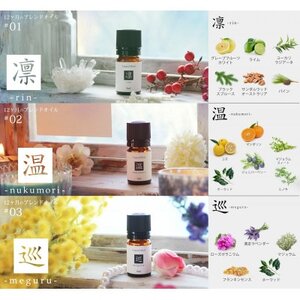 ease12ヶ月のブレンドオイル(5ml×3本)凛・温・巡+アロマストーンMONOセット【配送不可地域：沖縄県】【1423252】