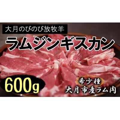 ふるさと納税 大月市 【大月のびの放牧羊】ラム肉ジンギスカン　600g(200g×3パック)