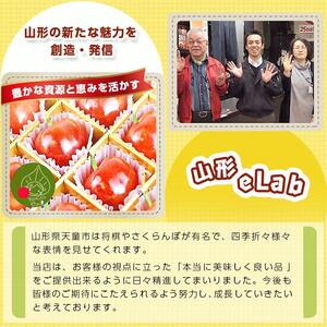100%フルーツジュース10本入り 08-10-045