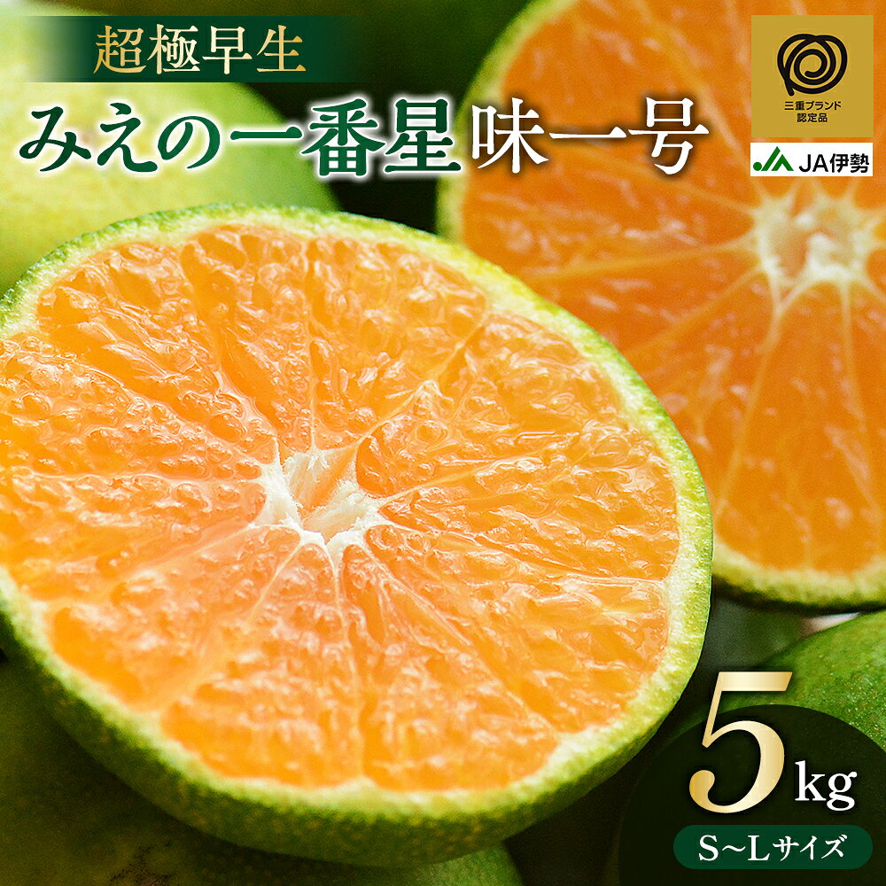 【ふるさと納税】 【9月30日受付終了】みかん JAみえの一番星 (味一号) 超極早生 5kg S～Lサイズ 三重ブランド認定品 光センサー選果 温州みかん ミカン 柑橘 フルーツ 果物 果実 濃厚 旬 先行予約 産地直送 人気 国産 特産品 お取り寄せ 数量限定 期間限定 三重県 熊野市