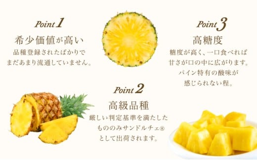熟鮮サンドルチェ(R) 3kg(2～3玉 )2026年 先行予約 パイン沖縄 西表島産 レア品種 沖縄 西表島産 果物 フルーツ