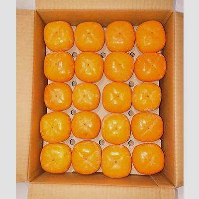 ふるさと納税 佐渡市 秋の味覚 佐渡産 おけさ柿 36〜40個入り |  | 01