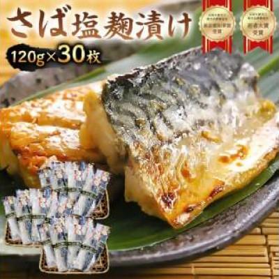ふるさと納税 南房総市 さば　塩麹漬け　約120g×30枚　個包装　mi0012-0102