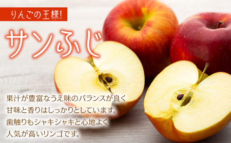 サンふじ 3kg 12玉 贈答用 サンふじ