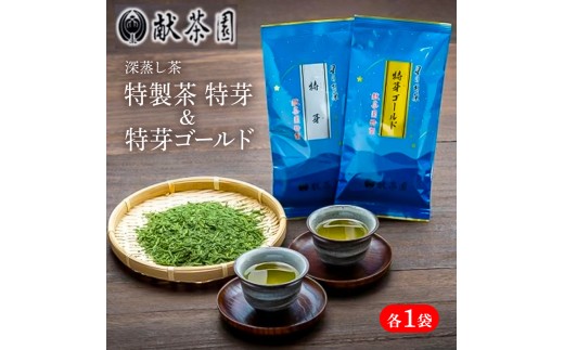 お茶 深蒸し茶 献茶園 特製茶 特芽 & 特芽ゴールド 八女茶 茶 緑茶