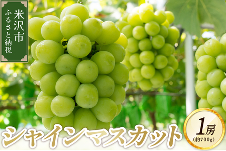 【先行予約】 令和8年産 ぶどう シャインマスカット 1房 ( 700g ) 2026年10月上旬頃 お届け予定