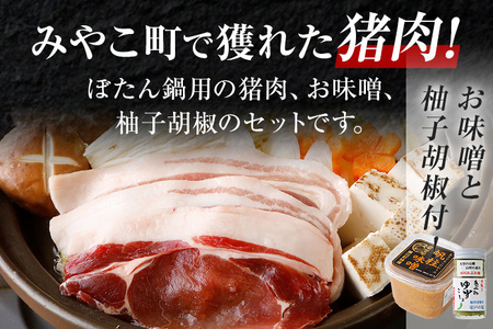 猪肉 福岡県産 猪鍋 詰め合わせ 800g 猪肉
