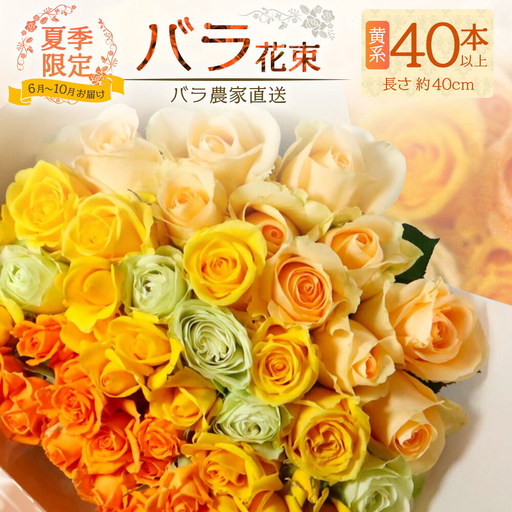 【ふるさと納税】【 もうすぐ受付終了・9/30まで】【日付指定必須・ギフト対応可】 夏季限定 ばら農家直送！バラ花束40本以上お届け(黄系) TB-7