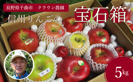 【2025年先行予約】【りんごの宝石箱】 信州産りんご 詰め合わせセット 約5kg 旬のりんご品種を3種以上厳選 千曲市産りんご 長野のりんご