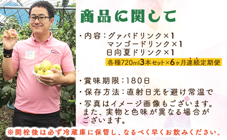 【定期便・全6回】驚きの果実感！トロピカルフルーツドリンク(3本・3種各720ml、グァバ、マンゴー、日向夏)×6回_K021-T002