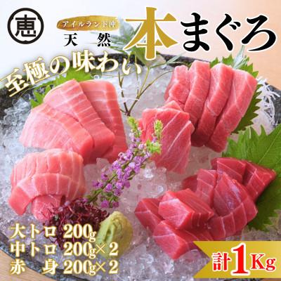 ふるさと納税 三浦市 【至極の味わい】天然本まぐろ 1kg(大トロ200g,中トロ400g, 赤身400g)