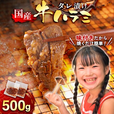 国産 特製たれ漬 牛ハラミサガリ 250g×2パック【配送不可地域：離島】