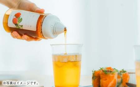 熊本 杉養蜂園 【ハスカップ】果汁入り はちみつ 1,000g 蜂蜜