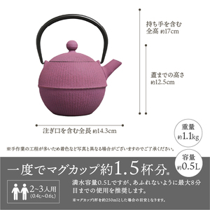 【6カ月以内発送予定】南部鉄器 急須 手まり（グレープ） 0.5L 【及春鋳造所 作】 伝統工芸品 キッチン用品 食器 日用品 雑貨[Y0023]