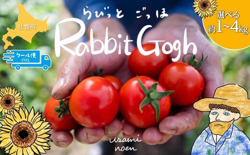 
                  【2026年予約】極旨トマトクール便 北海道壮瞥町産 ラビットゴッホ 選べる容量1kg～4kg 中玉トマト 【 ふるさと納税 人気 トマト とまと 野菜 ラビットゴッホ 中玉トマト フルーツトマト フルーツ ミニトマト 甘い 糖度 美味しい 完熟 グルメ 北海道 壮瞥町 送料無料 】 SBTAJ001
                