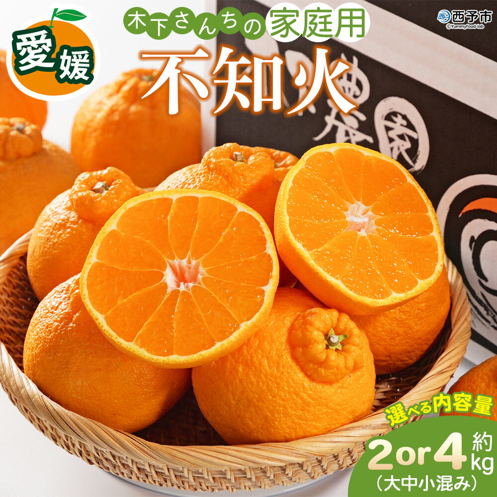 【ふるさと納税】＜木下さんちの不知火 家庭用 約2kg／4kg（大中小混み）＞『2027年3月に順次出荷予定』選べる内容量 柑橘 しらぬい でこぽん デコポン ご自宅 みかん ミカン 蜜柑 果物 くだもの フルーツ 果実 特産品 木下農園 西宇和 愛媛県 西予市【常温】