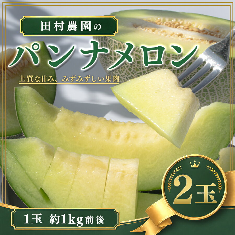 【ふるさと納税】パンナメロン 2玉（1玉約1kg前後）希少 甘い 芳醇 メロン フルーツ 果物 濃厚 産地直送 数量限定 厳選 ギフト 贈答用 贈り物 プレゼント お中元 お歳暮 ご褒美 めろん ぱんなめろん 果汁たっぷり 果肉 果実 糖度 人気 旬 夏 デザート