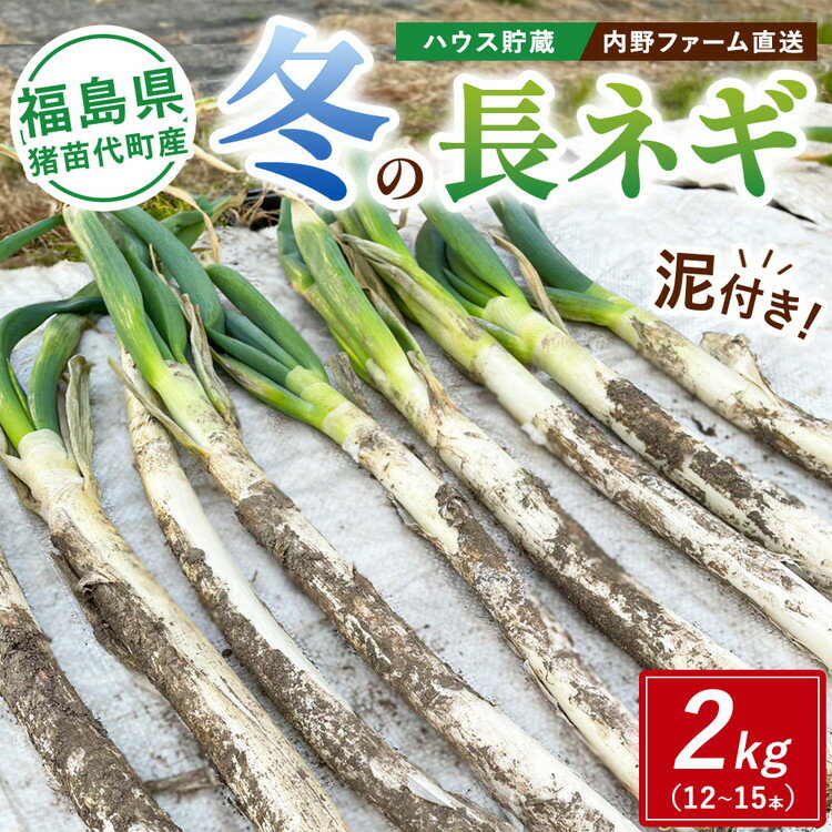 【ふるさと納税】【数量限定】【生活応援価格】磐梯山の麓からお届け ハウス貯蔵 冬の長ネギ 2kg（12～15本） 泥つき 農家直送｜内野ファーム 野菜 やさい 食品 人気 おすすめ ねぎ 葱 鍋 福島 猪苗代産 ※2026年3月中旬～4月中旬頃に順次発送予定 ※沖縄・離島への配送不可