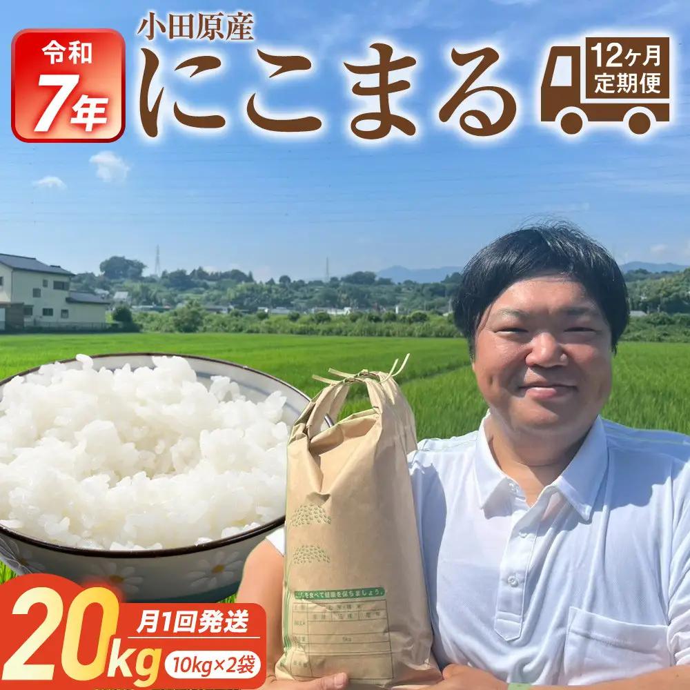 令和7年産　毎月お届け　定期便　富水米　精米　20kg×12か月　にこまる