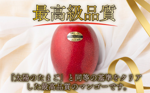 【やました農園】＜先行予約＞糖度15度以上の宮崎完熟マンゴー(5L×1玉入・贈答用) ＜ギフト用＞ 2箱 AE-C2-2