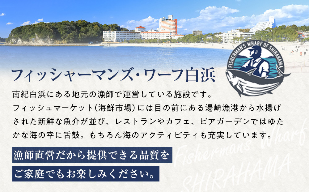 CAS凍結 南紀の誉れ 旬 の 海産物 6品 セット お楽しみ 簡単調理 干物 お造り 塩焼き など