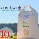 【ふるさと納税】≪令和6年産≫ 新米 【特別栽培米】 垂井町産 いのちの壱 10kg