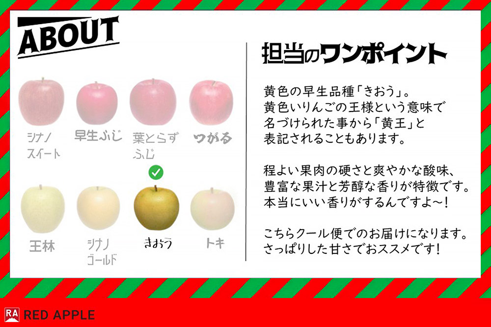 りんご【訳あり】家庭用 きおう（黄王）約2.5kg