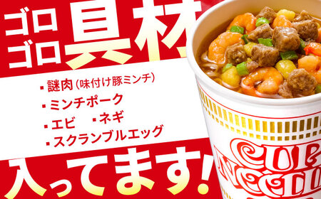定期便　日清カップヌードル（1ケース20食入）3ヶ月連続お届け カップラーメン カップ麺 お昼ごはん おやつ 軽食 夜食 キャンプ飯 備蓄 ローリングストック
