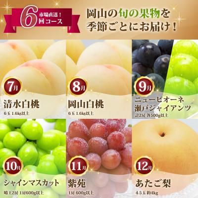 ふるさと納税 岡山市 【発送月固定定期便】岡山県産 フルーツ定期便全6回 |  | 01
