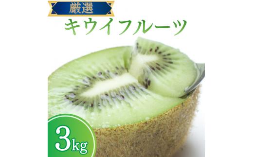 ＜2024年11月より発送＞厳選 キウイフルーツ3kg+90g（傷み補償分）※北海道・沖縄・離島配送不可 / 和歌山 フルーツ 果物 くだもの 旬 キウイフルーツ キウイ 栄養たっぷり【ikd704A