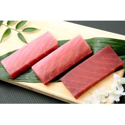 ふるさと納税 三浦市 三崎港まぐろ中トロ赤身セット |  | 02
