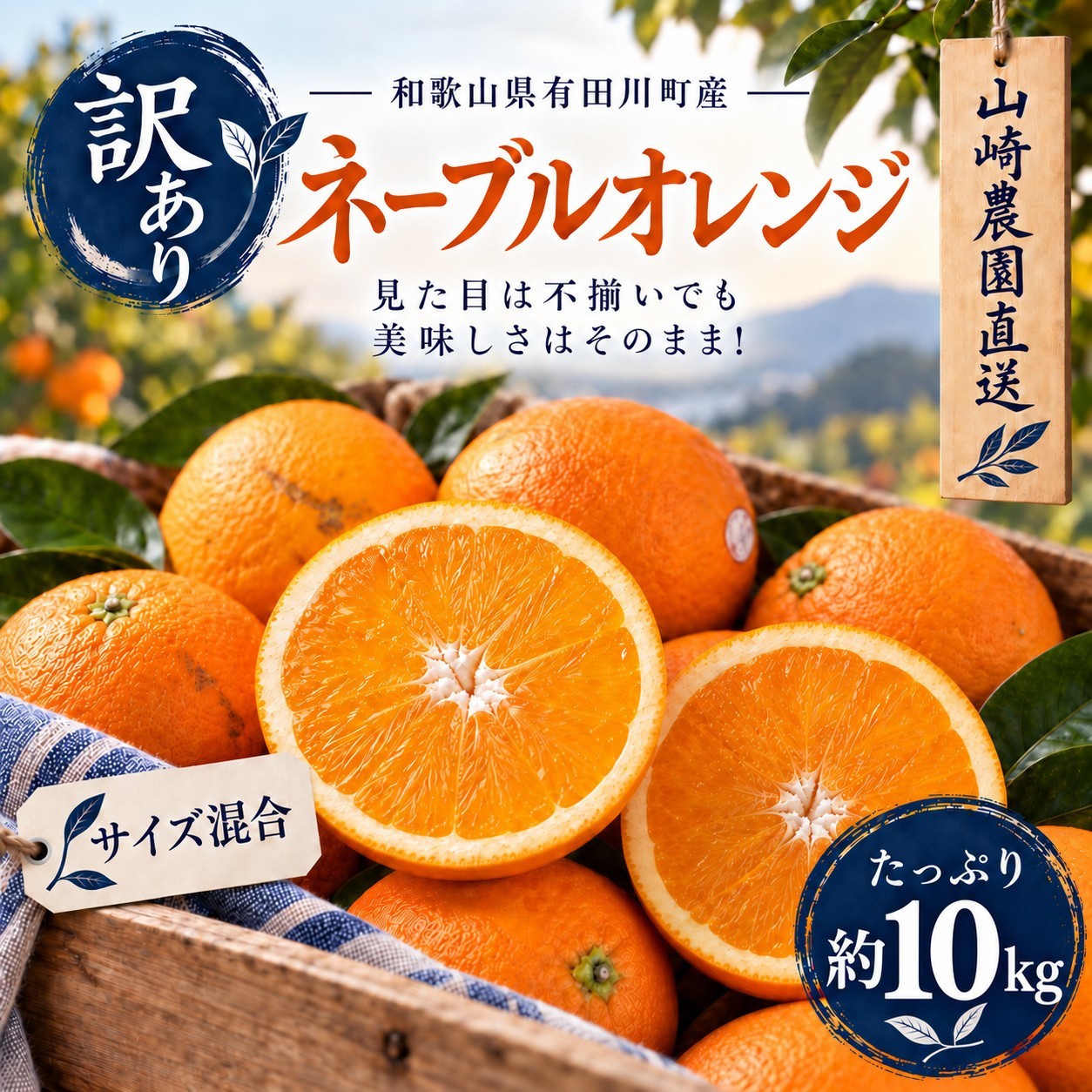 
                  訳あり ネーブルオレンジ 約10kg サイズおまかせ アルギット 栽培 国産 甘い おいしい ジューシー 皮 薄い 完熟 期間限定 フルーツ 果物 人気 おすすめ 高級 こだわり ギフト 旬 山崎農園 和歌山
                