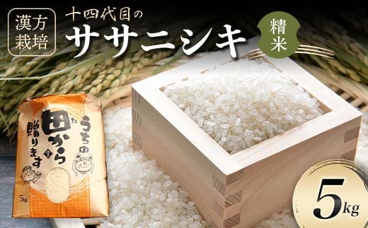 【先行予約】 令和6年産 漢方栽培 十四代目のササニシキ 5kg 米 お米 おこめ 山形県 新庄市 F3S-2173