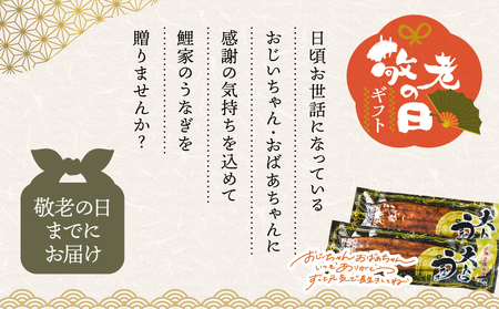 【 敬老の日ギフト 】日頃の感謝を込めて 鯉家特製 大トロうなぎ蒲焼（135g×4尾） KN040-004-01k 期間限定 敬老の日 鹿児島県 大隅産 国産ウナギ 蒲焼 鰻 魚 鰻重 鰻丼 かば焼き