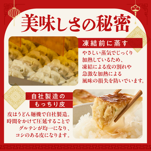 餃子　40個×2袋セット mi0115-0002 餃子