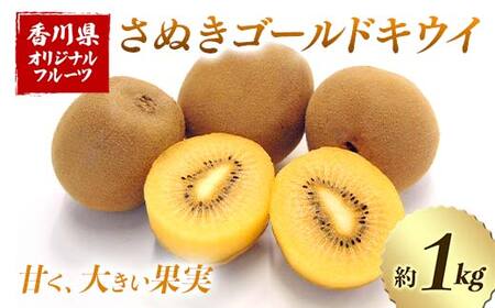 【人気フルーツ定期便E 4回】《さぬきゴールドキウイからスタート》さぬきゴールド さぬきエンジェルスイートキウイ さぬきキウイっこ 越冬小原紅早生みかん 各約1kg  キウイ みかん 旬 フルーツ 果