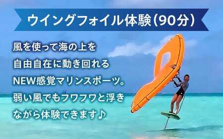 横須賀 津久井浜 Wing Foil (ウイングフォイル) 体験チケット（90分）マリンスポーツ TEARS WINDSURFING SCHOOL ウィンドサーフィン サーフィン リペア 修理 横須賀