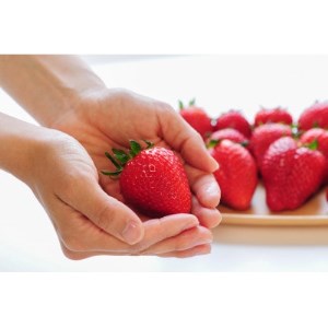 いちご王国栃木の新品種　大粒『とちあいか』(300g×2パック)【配送不可地域：離島・沖縄県】【1283771】