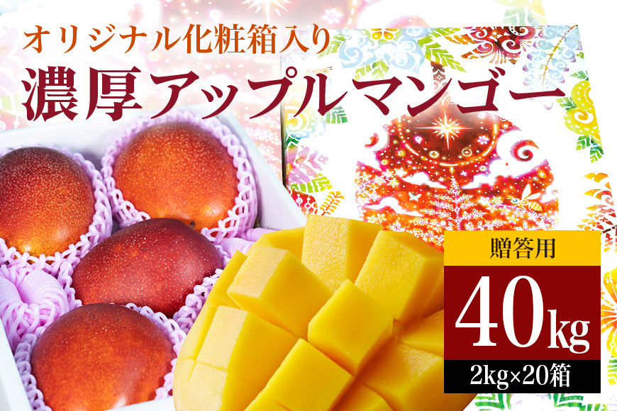 
            【 先行予約 2026年 発送】 沖縄県 糸満産 の「 濃厚 アップルマンゴー 」40kg ( 2kg × 20箱 ) マンゴー 大容量 贈答用 化粧箱入り 完熟マンゴー ギフト 贈答品 贈答 贈り物 お中元 夏ギフト 大量 お配り用 ゆいぐくるマンゴー沖縄 産地直送 糸満市 
          