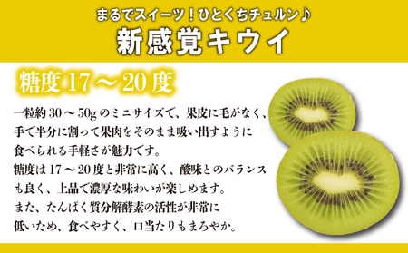 さぬきキウイっこ 約1.3kg 先行予約 サイズ混合 キウイ