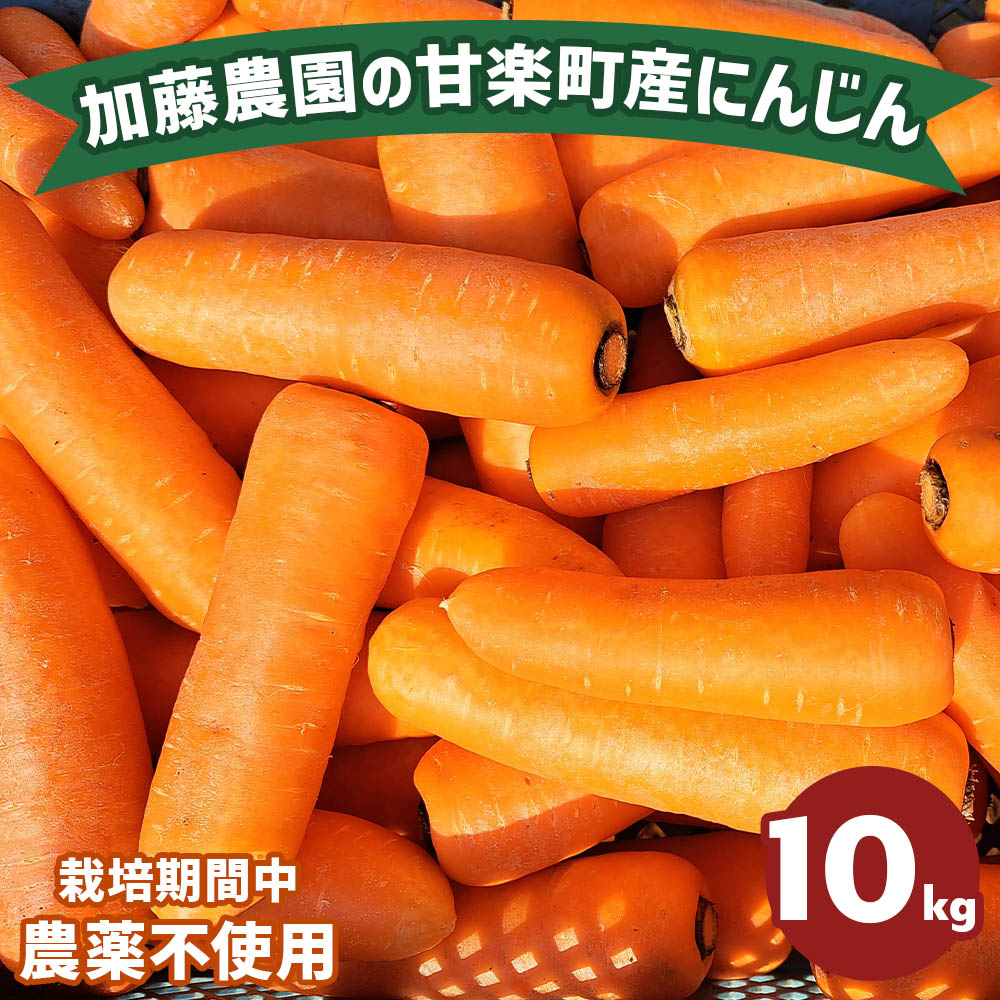 【ふるさと納税】産地直送！加藤農園の甘楽町産にんじん 10kg｜人参 ニンジン 野菜 キャロット 国産 新鮮 農家直送 産地直送 煮物 かき揚げ 甘楽町 数量限定 期間限定 [0317]