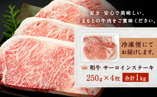 和牛 サーロイン ステーキ 1kg（250g×4枚）黒毛和牛 牛肉