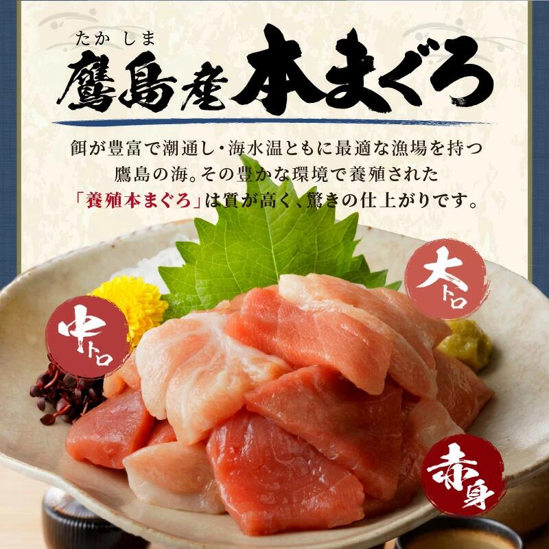 鷹島産本まぐろ 贅沢まぐろ たっぷり2人前(赤身と中・大トロの切り落とし200g)×1パック( まぐろ マグロ 鮪 大トロ 中トロ 赤身 本まぐろ 切り落とし 簡単解凍 )【A9-071】