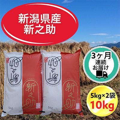 ふるさと納税 胎内市 【毎月定期便】【3ヶ月連続お届け】新潟県胎内市産新之助 精米 10kg(5kg×2袋)全3回
