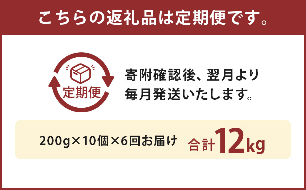 【6ヶ月定期便】黒樺牛ビーフカレー200g×10パック