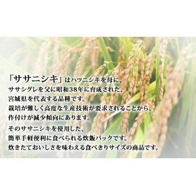 ふるさと納税 石巻市 ご飯パック 宮城県産 ササニシキ 180g×24個 パックライス パックごはん ごはん パック 宮城 |  | 01