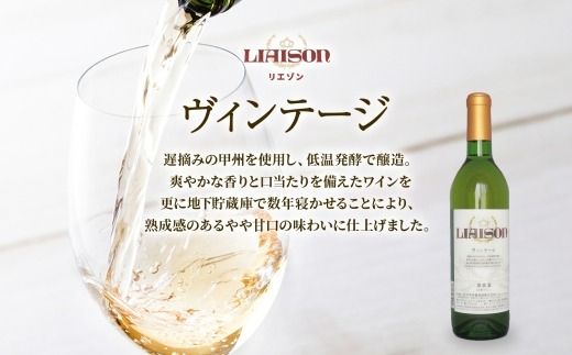 ワイン Liaison リエゾン 赤＆白 飲み比べ セット 720ml 各1本 計2本  フルボトル 甲州 甲斐ノワール メルロー ミディアム 辛口 やや甘口 日川中央葡萄酒 山梨県 笛吹市 177-7-17