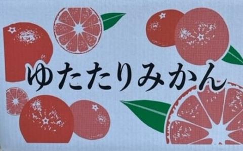 NB-13　峰農園の早摘みゆたたりみかん 10kg